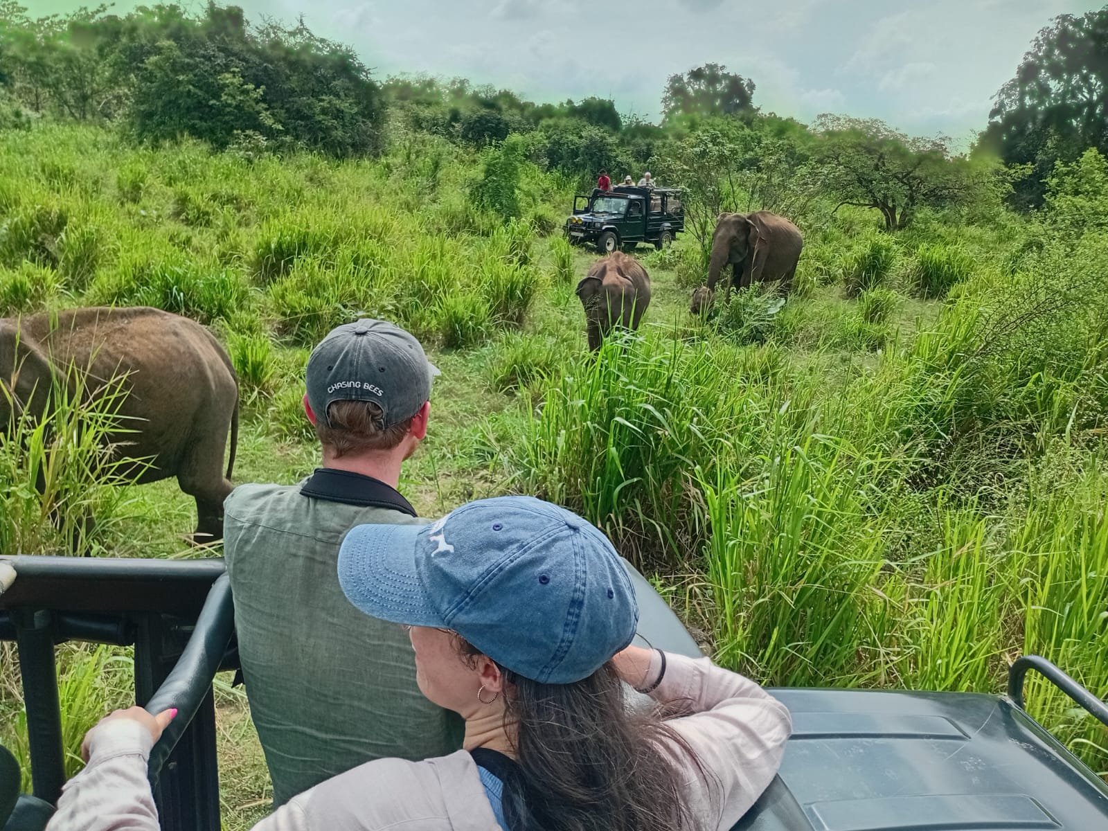 Safari Tour Moments